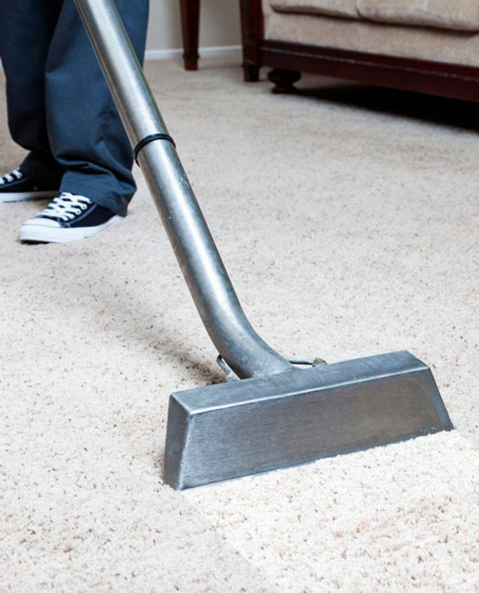 carpet cleaning by ionator cleaning solutions