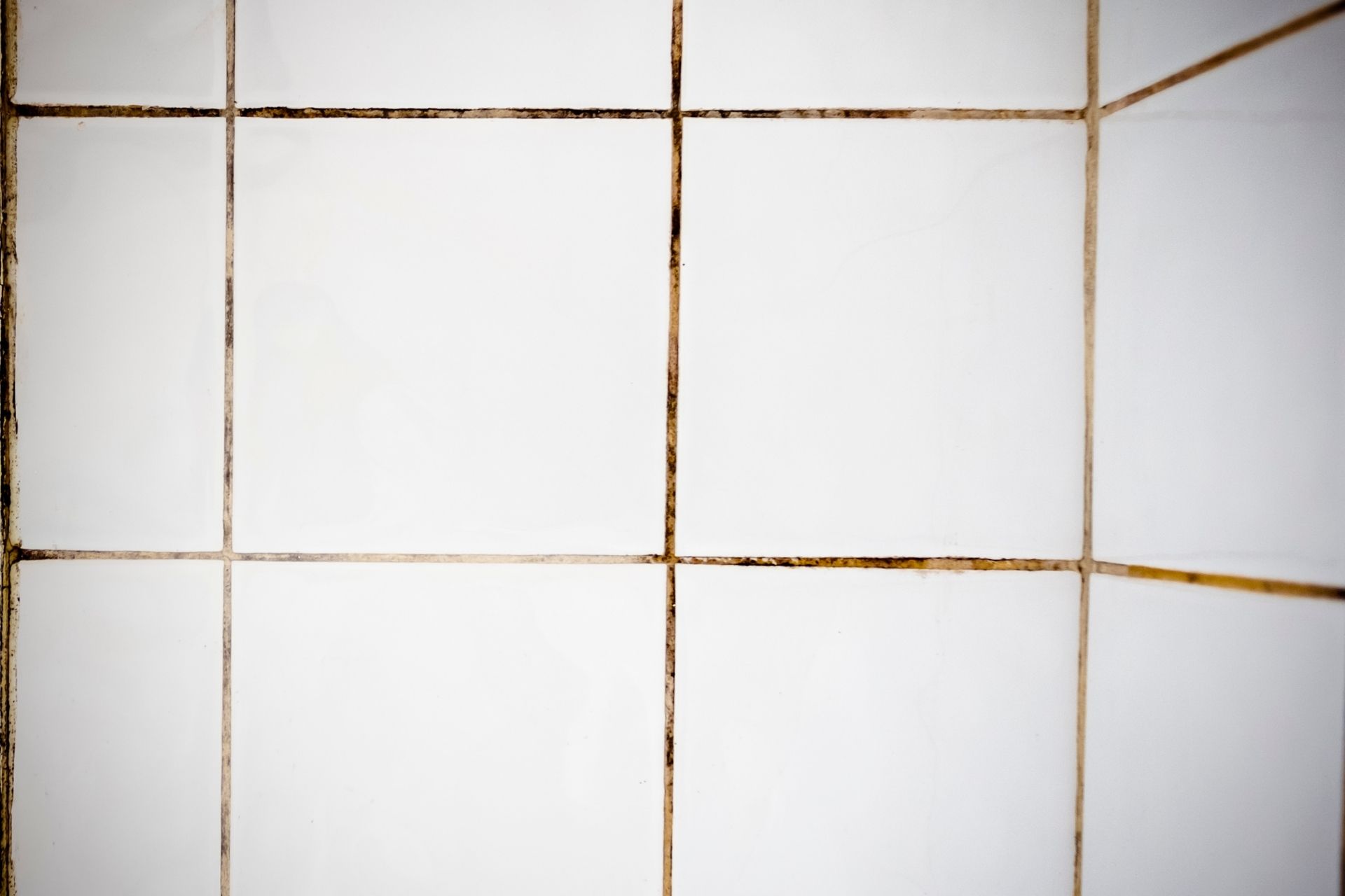 dirty grout lines in a shower