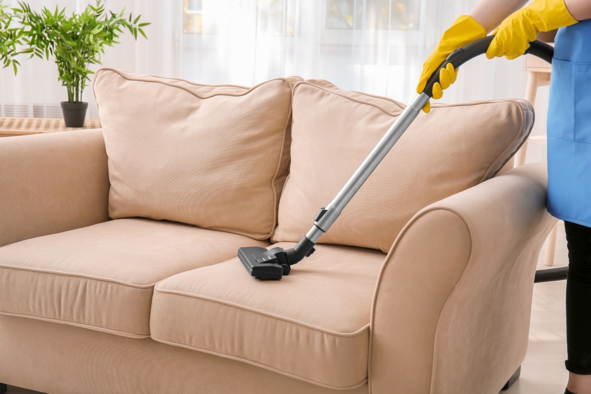 professionally cleaning a beige couch
